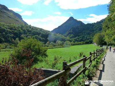 Hayedos Parque Natural de Redes;guias de senderismo amigos del senderismo trekking y senderismo